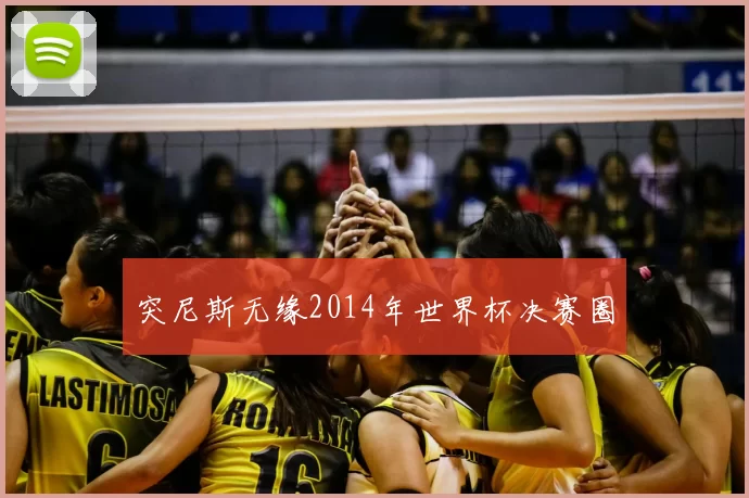 突尼斯无缘2014年世界杯决赛圈