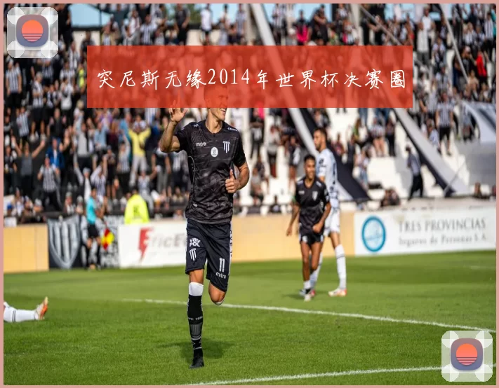 突尼斯无缘2014年世界杯决赛圈