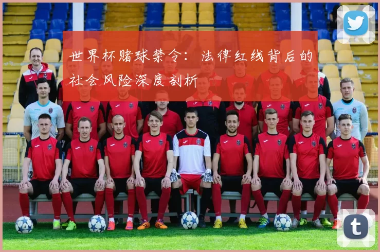 世界杯赌球禁令:法律红线背后的社会风险深度剖析