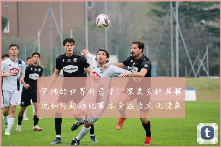 贺炜的世界杯哲学：深度分析其解说如何超越比赛本身成为文化现象