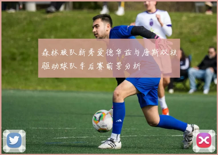 森林狼队新秀爱德华兹与唐斯双核驱动球队季后赛前景分析