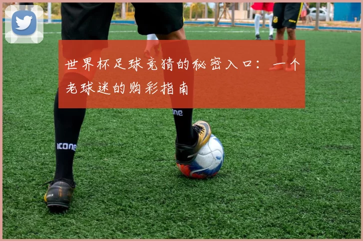 世界杯足球竞猜的秘密入口：一个老球迷的购彩指南