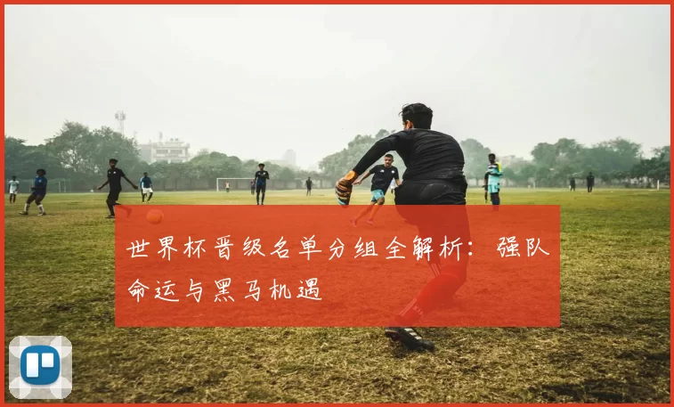 世界杯晋级名单分组全解析:强队命运与黑马机遇