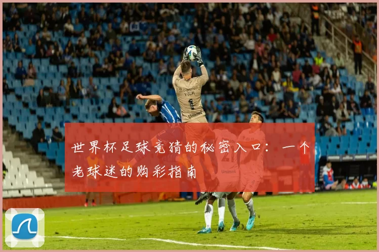 世界杯足球竞猜的秘密入口：一个老球迷的购彩指南