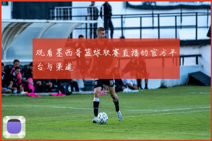 观看墨西哥篮球联赛直播的官方平台与渠道