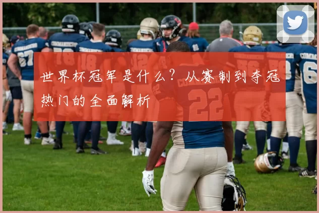 世界杯冠军是什么?从赛制到夺冠热门的全面解析