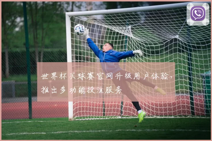 世界杯买球赛官网升级用户体验,推出多功能投注服务