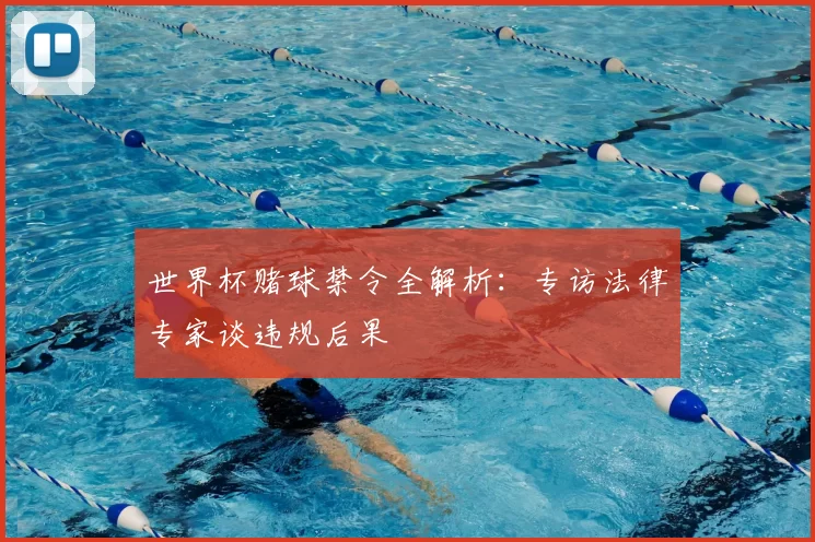世界杯赌球禁令全解析:专访法律专家谈违规后果