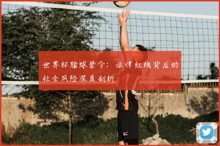 世界杯赌球禁令：法律红线背后的社会风险深度剖析