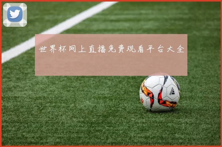 世界杯网上直播免费观看平台大全